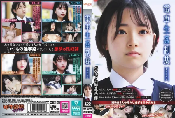 YDNS-002