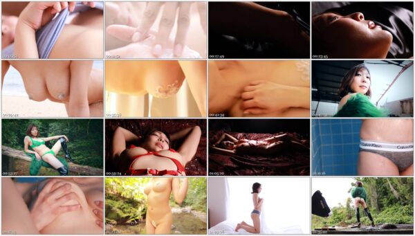 PRIAN-022-preview