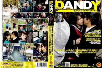 dandy118 cover