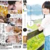 ibw524 cover