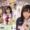 mifd151 cover