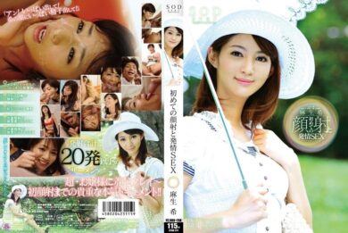 star 371 cover