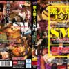 cma115 cover