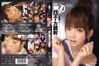 iptd638 cover