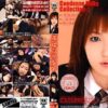 pmp29 cover