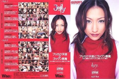 wsd007 cover