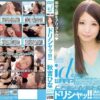 wdi019 cover