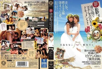bban111 cover