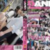dandy292 cover