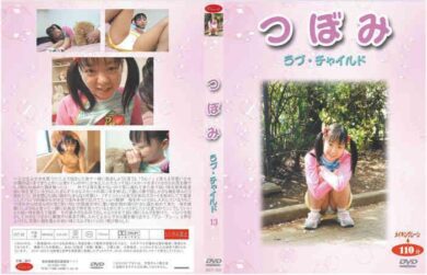 dvt013 cover