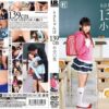 ibw377 cover