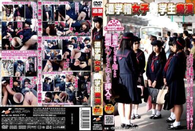 nhdta204 cover