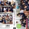 sdde379 cover