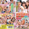 skmj337 cover