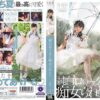 stars296 cover