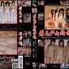 ymt01 cover
